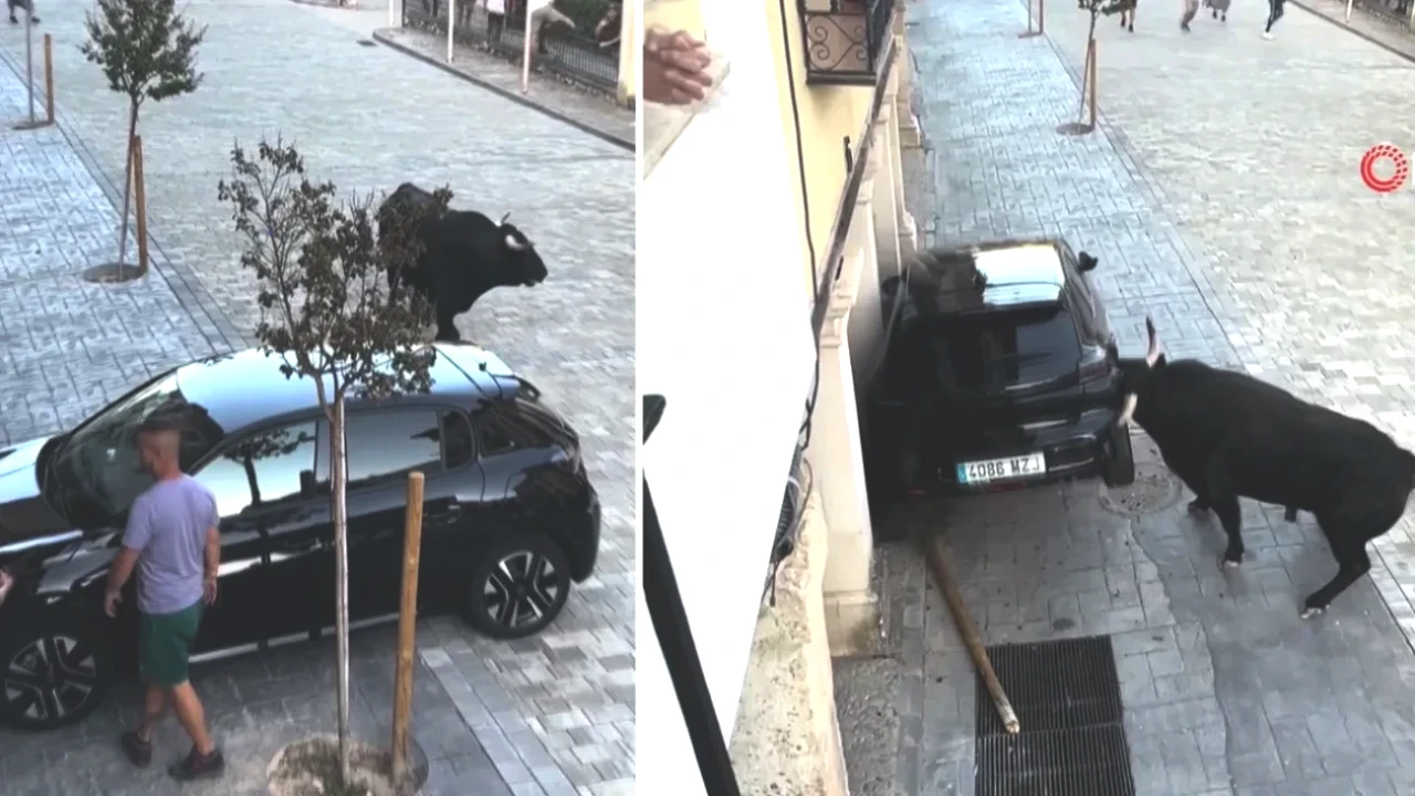 Kızgın Boğa Sokak'ta Kaos! Park Halindeki Araç Korkunç Bir Şekilde Parçalandı